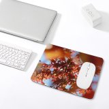 yanfind The Mouse Pad Acerleaves Plant Creative Springtime Pictures Acer Corbridge Tree Sunshine Maple Uk Pattern Design Stitched Edges Suitable for home office game