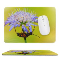 yanfind The Mouse Pad Andrena Plant Polska Images Commons Creative Insect Pictures Grudziądz Invertebrate Photo Pattern Design Stitched Edges Suitable for home office game
