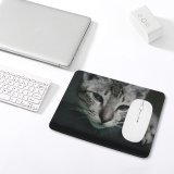 yanfind The Mouse Pad Young Grey Pet Kitten Portrait Tabby Curiosity Cute Little Sit Cat Eye Pattern Design Stitched Edges Suitable for home office game