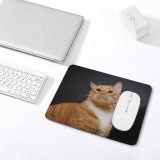 yanfind The Mouse Pad Young Kitty Pet Funny Kitten Portrait Tabby Whiskers Cute Little Adorable Staring Pattern Design Stitched Edges Suitable for home office game