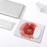 yanfind The Mouse Pad Paweł Czerwiński Flowers Gerbera Daisy Flower Closeup Macro Blossom Bloom Spring Flower Pattern Design Stitched Edges Suitable for home office game