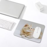 yanfind The Mouse Pad Funny Curiosity Sit Cute Baby Young Little Eye Kitten Whisker Fur Portrait Pattern Design Stitched Edges Suitable for home office game
