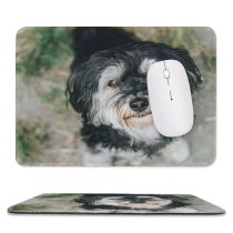 yanfind The Mouse Pad Dog Pet Wallpapers Free Pictures Grey Poodle Images Puppies Pattern Design Stitched Edges Suitable for home office game