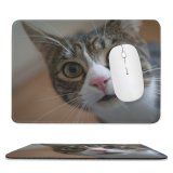 yanfind The Mouse Pad Blur Focus Whiskers Cat Little Face Portrait Pet Tabby Curious Fur Big Pattern Design Stitched Edges Suitable for home office game