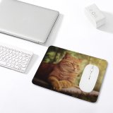 yanfind The Mouse Pad Relaxation Kitty Dreaming Pet Dream Outdoors Resting Kitten Tabby Cute Sleepy Adorable Pattern Design Stitched Edges Suitable for home office game