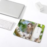 yanfind The Mouse Pad Singapore Domain Wildlife Public Monkey Jungle Baboon Images Rainforest Eating Pictures Pattern Design Stitched Edges Suitable for home office game