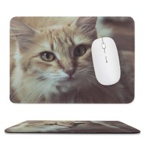 yanfind The Mouse Pad Young Kitty Pet Funny Kitten Portrait Cute Little Adorable Cat Whisker Fur Pattern Design Stitched Edges Suitable for home office game