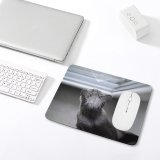 yanfind The Mouse Pad Pet Top Felidae From Shot High Furry Above Window Cat Mirror Fur Pattern Design Stitched Edges Suitable for home office game