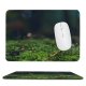 yanfind The Mouse Pad Blur Forest Little Grass Growth Toadstool Garden Fungus Outdoors Mushroom Flora Fungi Pattern Design Stitched Edges Suitable for home office game