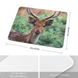 yanfind The Mouse Pad Blur Focus Wild Depth Field Wildlife Stag Fur Outdoors Snout Deer Antlers Pattern Design Stitched Edges Suitable for home office game