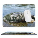 yanfind The Mouse Pad Turtle Turtles Reptiles Reptile Wildlife River Old Mud Muddy Pond Tortoise Common Pattern Design Stitched Edges Suitable for home office game