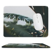 yanfind The Mouse Pad Blur Freshness Fresh Palm Daylight Botanical Daytime Growth Outdoors Scenic Leaves Leaf Pattern Design Stitched Edges Suitable for home office game