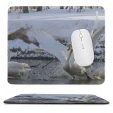 yanfind The Mouse Pad Whooper Swan Bird Fight Spring Lake Vertebrate Ducks Geese Swans Beak Tundra Pattern Design Stitched Edges Suitable for home office game