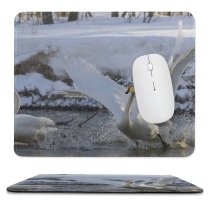 yanfind The Mouse Pad Whooper Swan Bird Fight Spring Lake Vertebrate Ducks Geese Swans Beak Tundra Pattern Design Stitched Edges Suitable for home office game