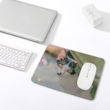 yanfind The Mouse Pad Young Kitty Pet Funny Outdoors Kitten Portrait Tabby Whiskers Cute Little Blur Pattern Design Stitched Edges Suitable for home office game