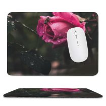 yanfind The Mouse Pad Free Pictures Flower Petal Rose Plant Blossom Images Albania Tirana Pattern Design Stitched Edges Suitable for home office game