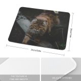 yanfind The Mouse Pad Blur Focus Whiskers Cat Pet Fur Outdoors Furry Adorable Cute Kitty Eyes Pattern Design Stitched Edges Suitable for home office game
