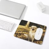 yanfind The Mouse Pad Dog Pet Free Pictures Strap Stock Golden Images Pattern Design Stitched Edges Suitable for home office game