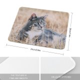 yanfind The Mouse Pad Young Grass Pet Outdoors Kitten Portrait Wildlife Field Curiosity Cute Cat Eye Pattern Design Stitched Edges Suitable for home office game