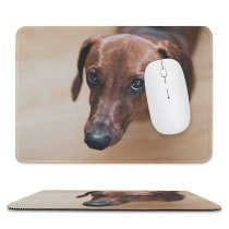 yanfind The Mouse Pad Dog Pet Wallpapers Free Pictures Wood Hound Grey Images Snout Beagle Pattern Design Stitched Edges Suitable for home office game