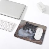 yanfind The Mouse Pad Abyssinian Free Hay Cat Stock Wallpapers Manx Images Pictures Pet Grey Pattern Design Stitched Edges Suitable for home office game