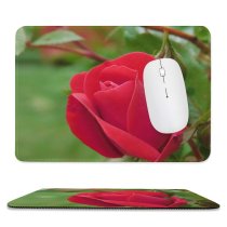 yanfind The Mouse Pad Wallpapers Island Flower Usa Rose Rhode Plant Blossom Creative Images Commons Pattern Design Stitched Edges Suitable for home office game