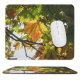 yanfind The Mouse Pad Maple Autumn Woody Leaves Plant Branch Warsaw Leaf Sunlight Leaf Tree Poland Pattern Design Stitched Edges Suitable for home office game