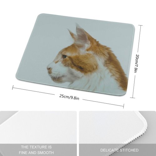yanfind The Mouse Pad Funny Curiosity Cute Cat Young Little Eye Staring Kitten Whisker Portrait Wildlife Pattern Design Stitched Edges Suitable for home office game