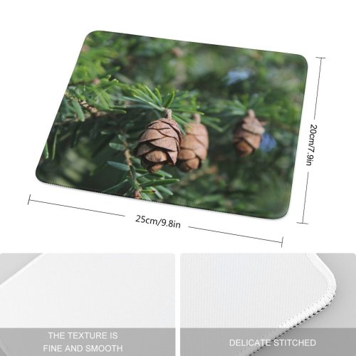 yanfind The Mouse Pad Abies Tree Pine Cone Plant Fir Larch Free Fall Yew Insect Pattern Design Stitched Edges Suitable for home office game