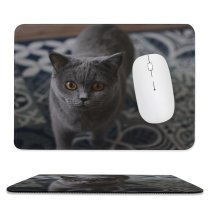 yanfind The Mouse Pad Young Grey Pet Funny Family Kitten Portrait Curiosity Cute Little Sit Eye Pattern Design Stitched Edges Suitable for home office game