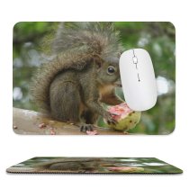 yanfind The Mouse Pad Esquilo Vertebrate Tail Squirrel Fox Organism Squirrel Com Whiskers Wildlife Snout Rodent Pattern Design Stitched Edges Suitable for home office game