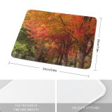 yanfind The Mouse Pad Walkway Plant Automne Pavement Pictures Outdoors Stock Tree Free Sidewalk Street Pattern Design Stitched Edges Suitable for home office game
