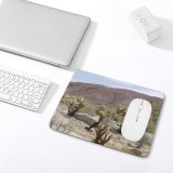 yanfind The Mouse Pad California Flower Tree Cactus Plant Landscape Desert Cactus Cholla Botany Shrubland Spring Pattern Design Stitched Edges Suitable for home office game