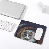 yanfind The Mouse Pad Young Kitty Grey Pet Outdoors Kitten Portrait Tabby Whiskers Cute Little Adorable Pattern Design Stitched Edges Suitable for home office game