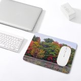 yanfind The Mouse Pad Abies Rouge Beach Plant Pictures Outdoors Tree Fir Free Canada Maple Pattern Design Stitched Edges Suitable for home office game