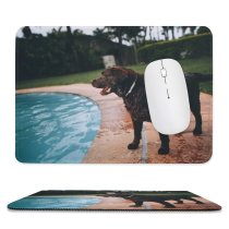 yanfind The Mouse Pad Dog Pool Pet Wallpapers Free Pictures Hound Images Pattern Design Stitched Edges Suitable for home office game