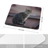 yanfind The Mouse Pad Funny Curiosity Cute Cat Little Eye Portrait Kitten Grey Pet Whisker Fur Pattern Design Stitched Edges Suitable for home office game