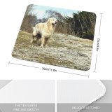 yanfind The Mouse Pad Tree Moss Plants Flowers Wood Walk Hill Foliage Dog Stone Wall Golden Pattern Design Stitched Edges Suitable for home office game