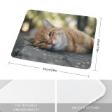 yanfind The Mouse Pad Pet Funny Outdoors Kitten Portrait Wildlife Curiosity Cute Little Staring Cat Eye Pattern Design Stitched Edges Suitable for home office game