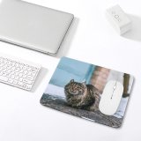 yanfind The Mouse Pad Funny Curiosity Outdoors Cute Young Eye Portrait Kitten Whisker Wildlife Pattern Design Stitched Edges Suitable for home office game