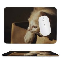 yanfind The Mouse Pad Funny Curiosity Cute Baby Young Little Eye Studio Portrait Pet Whisker Downy Pattern Design Stitched Edges Suitable for home office game