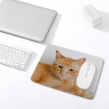 yanfind The Mouse Pad Funny Curiosity Sit Cute Little Young Eye Portrait Staring Kitten Pet Whisker Pattern Design Stitched Edges Suitable for home office game