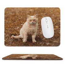 yanfind The Mouse Pad Funny Curiosity Sit Cute Little Young Eye Curious Ginger Kitten Whisker Fur Pattern Design Stitched Edges Suitable for home office game