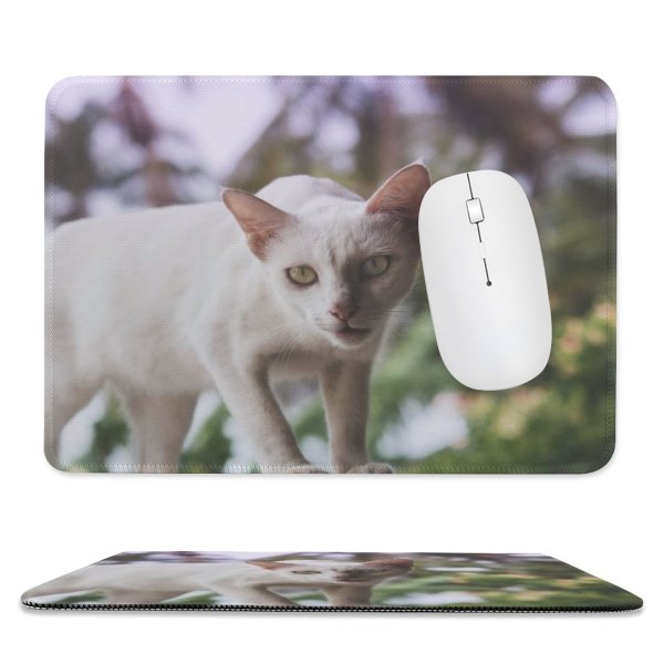 yanfind The Mouse Pad Funny Curiosity Sit Cute Cat Young Little Pet Pattern Design Stitched Edges Suitable for home office game