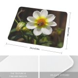 yanfind The Mouse Pad Flower Autumn Insect Winged Mediaserv Bee Plant Flowers Petal Flower Mountain Bee Pattern Design Stitched Edges Suitable for home office game