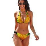 yanfind Bikini Garden Flower Big Little Nice Gold Golden Beauty Beautiful Gerbera Daisy Transvaal Women's Sexy Backless Swimwear Two Piece Summer