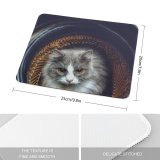 yanfind The Mouse Pad Young Kitty Grey Pet Outdoors Kitten Portrait Tabby Whiskers Cute Little Adorable Pattern Design Stitched Edges Suitable for home office game