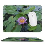 yanfind The Mouse Pad Alor Flower Images Alorsetar Free Setar Kedah Plant Waterlily Lotus Pond Blossom Pattern Design Stitched Edges Suitable for home office game