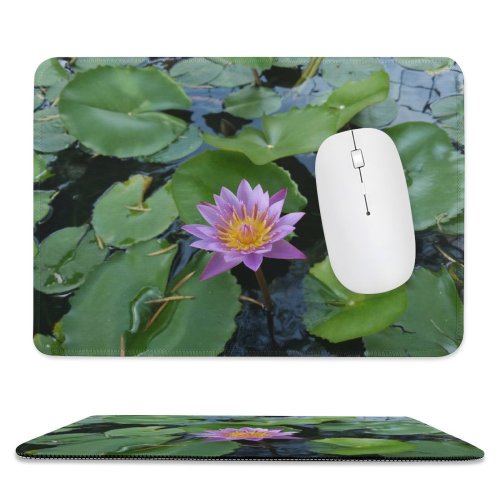 yanfind The Mouse Pad Alor Flower Images Alorsetar Free Setar Kedah Plant Waterlily Lotus Pond Blossom Pattern Design Stitched Edges Suitable for home office game