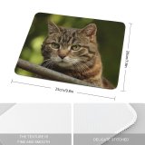 yanfind The Mouse Pad Funny Curiosity Outdoors Cute Little Young Eye Portrait Staring Kitten Whisker Fur Pattern Design Stitched Edges Suitable for home office game